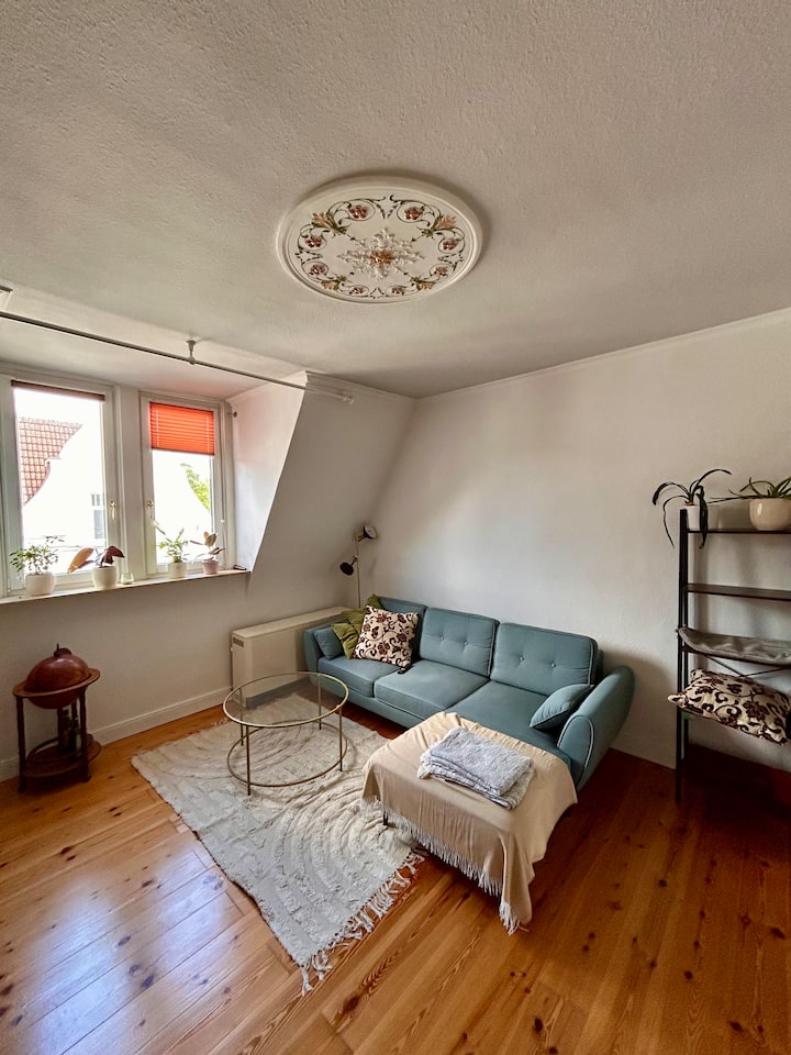 Helle Und Geräumige Altbauwohnung Am Schrevenpark - Kiel