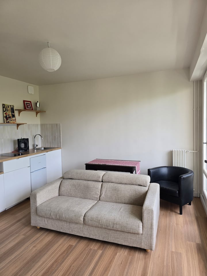 Appartement Calme Et Lumineux à Nogent-sur-marne - Nogent-sur-Marne