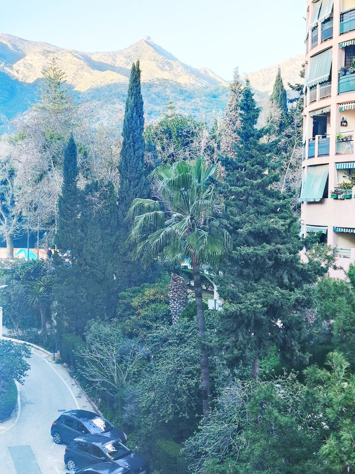 Vistas verdes al jardín con palmeras desde la ventana.