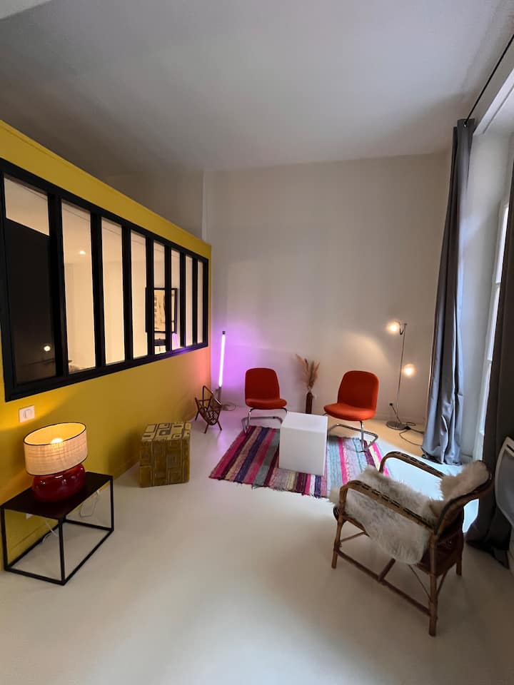Un Bel Appartement Dans Hôtel Particulier - Perpignan