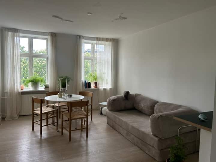 Calm Flat With Park View By The Lakes - Copenhaguen