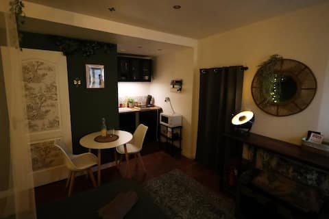Top Airbnb: Le Bois Dormant – Enchanted studio in the heart of Dijon à Centre Ville