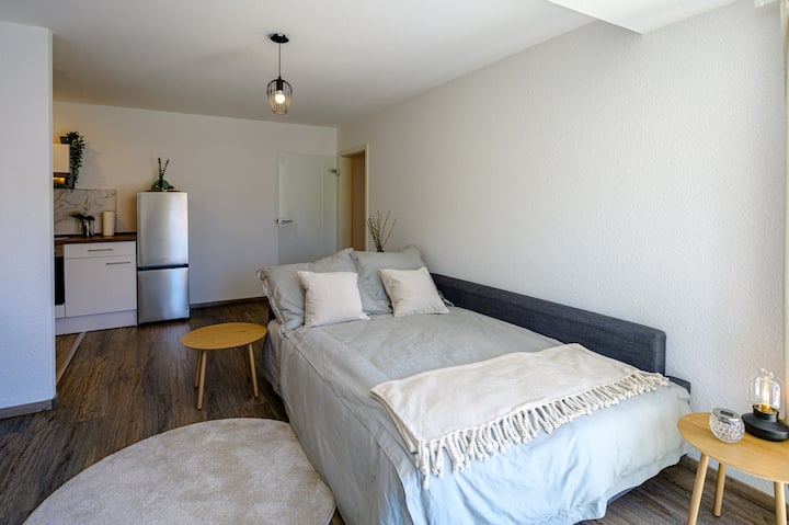 2 Apartments: Balkone & Parken | Zentral - Neustadt an der Weinstraße