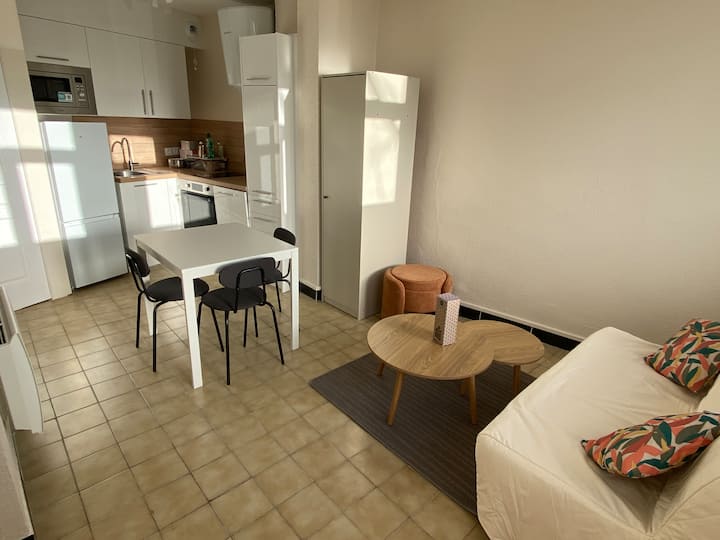 Esplanade - Très Joli Quartier - T2 - 30 M2 - Lille