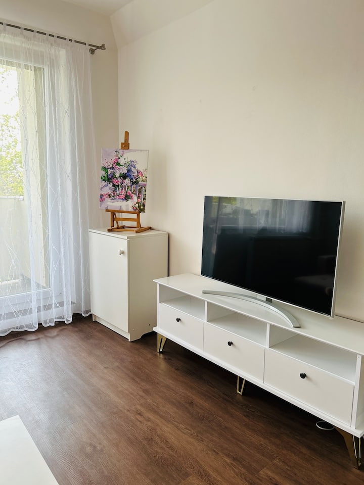 Apartment With Balcony - Karlovy Vary