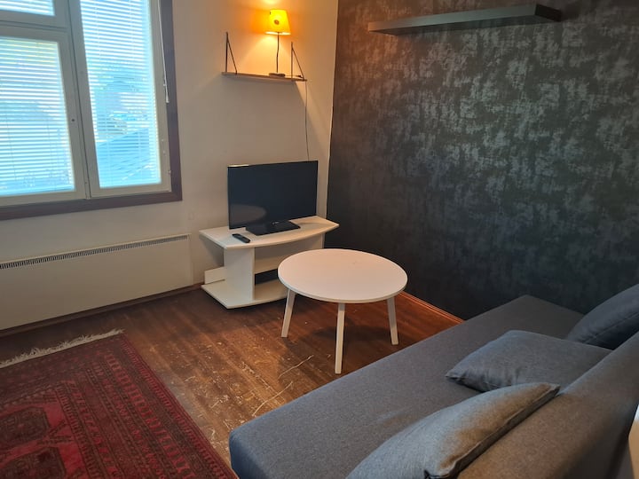 Yksiö Vanhassa Puutalossa - Pori