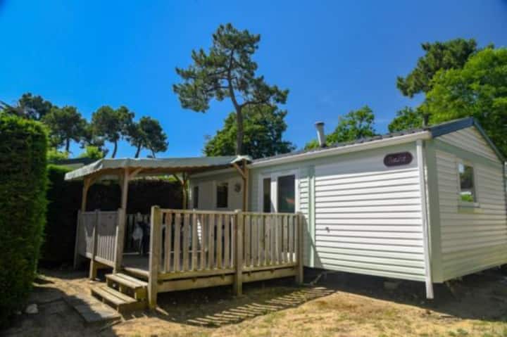 Mobil Home Confort 2 Chambres 4/6 Personnes, Terra - Longeville-sur-Mer