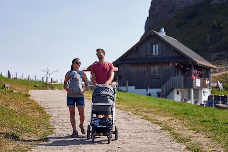 Yari Stay