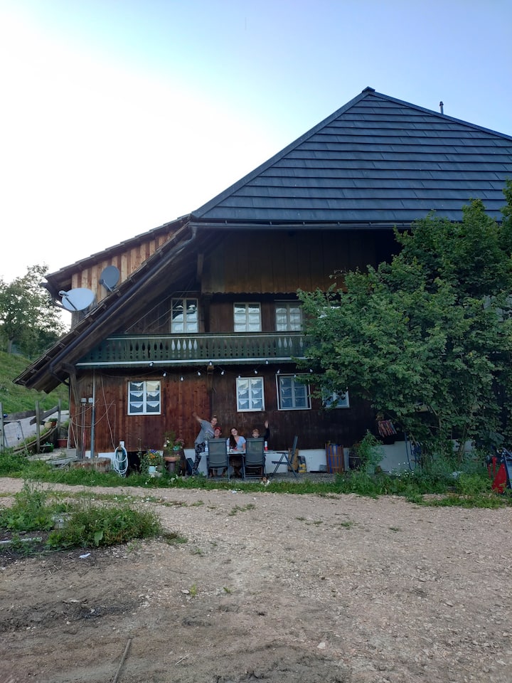 Ferienwohnung Am Belchen - Belchen