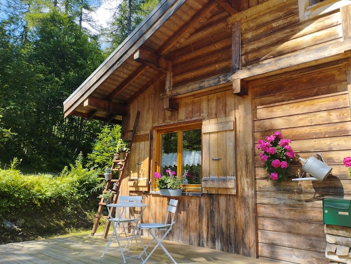 Chalet De Charme Tout Confort. - Argentière