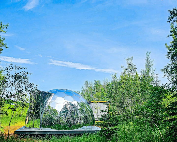 Reflections Dome All Inclusive Stay At 350 Farms - Cold Lake