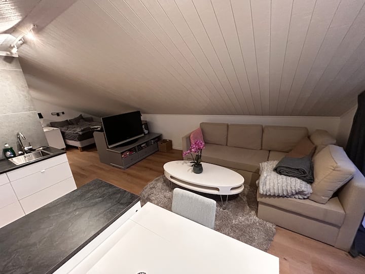 Garage Apartment - Uppsala