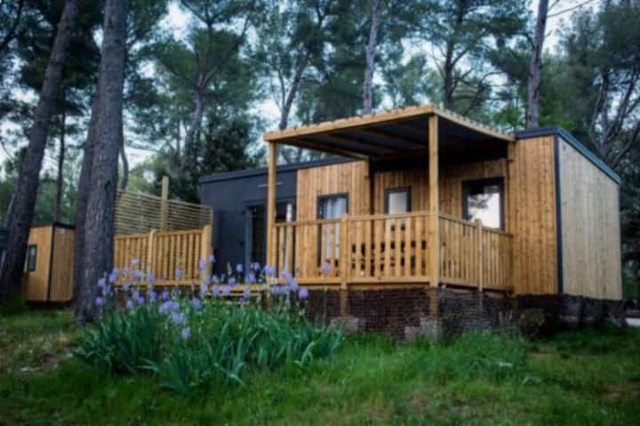Mobil Home Vip Doué 3 Chambres 6 Personnes 2sdb - Montreuil-Bellay
