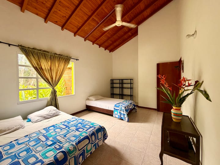 Habitación 1