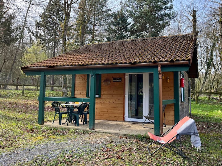Chalet Cosy Small 3 Pièces 4 Personnes + Tv - Yvoire