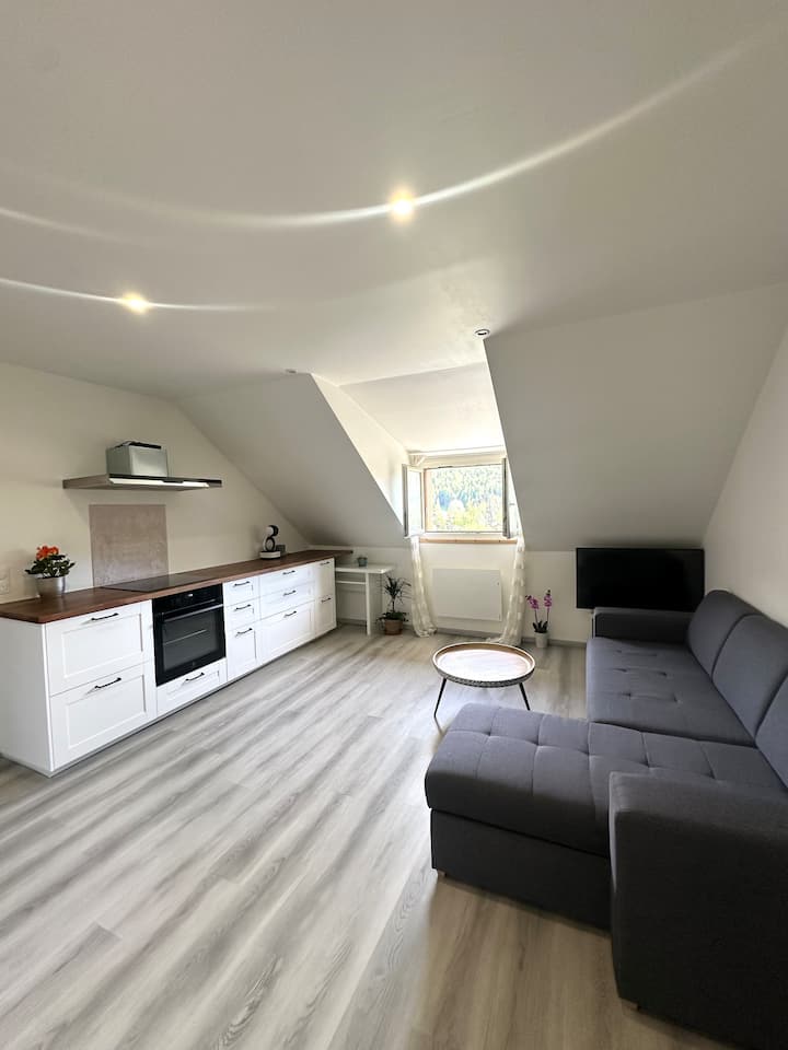 Appartement T2 - Barcelonnette
