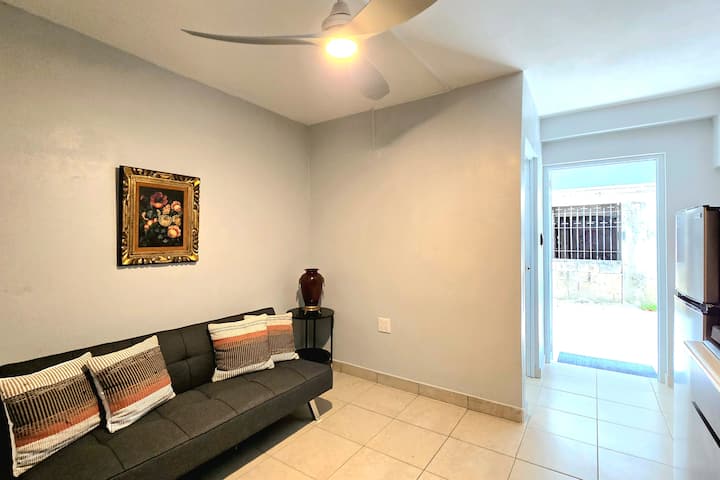 Jayuya Apt#2 - Steps From Public Square Downtown - Arecibo