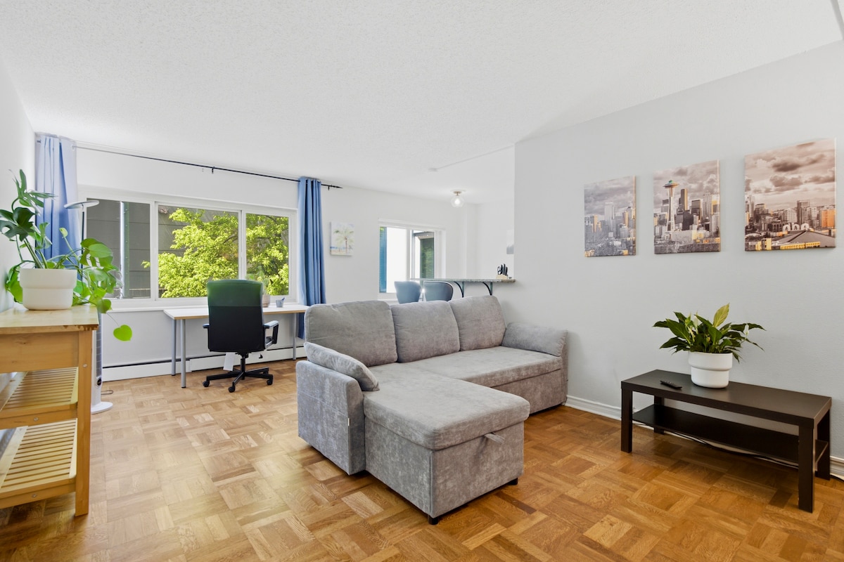 C4: Cozy Convenient 1BR by Convention Center