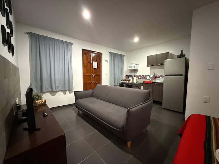 Cómodo, Centrico Y Funcional Departamento. Loft 1 - グアナフアト