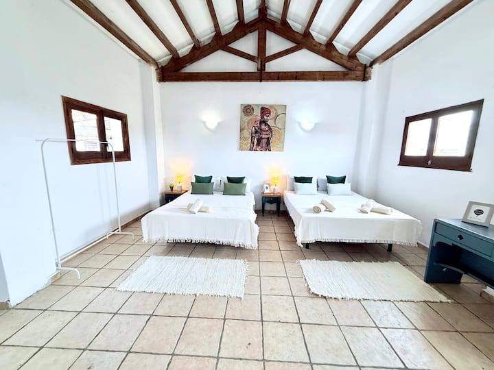 Bossa New 2 - Ibiza, IB, España