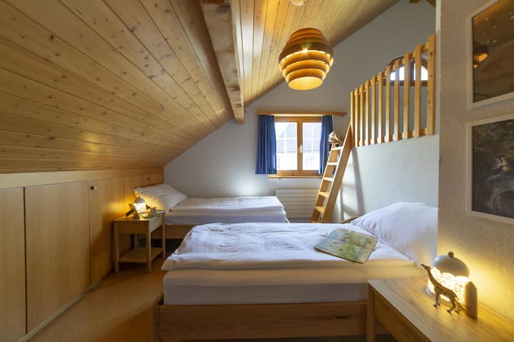 Dachnest - Wildhaus