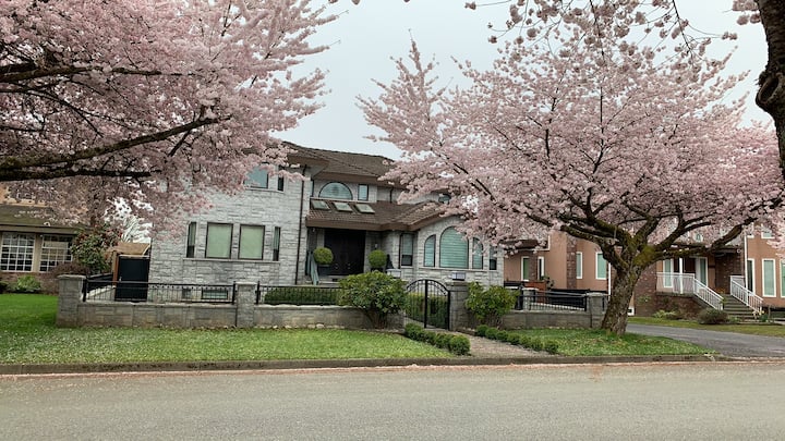 Modern & Cozy 2-bedroom Stay In Burnaby - Burnaby