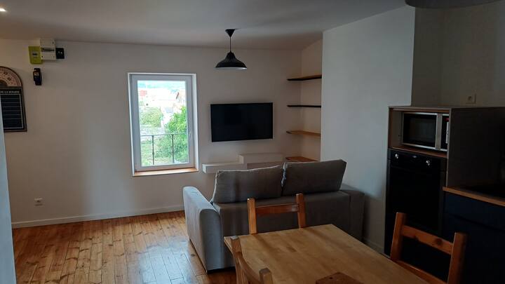 Appartement Chaleureux Climatisé - Clermont-Ferrand