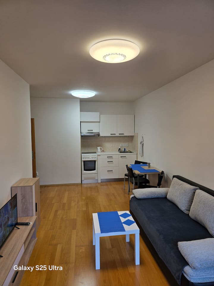 Klidný Byt 2+kk S Balkonem A Parkováním U Centra - Praga