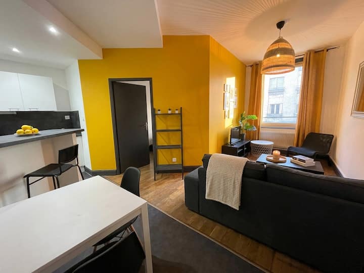 Appartement Cosy, à Deux Pas De La Place Stan - Nancy