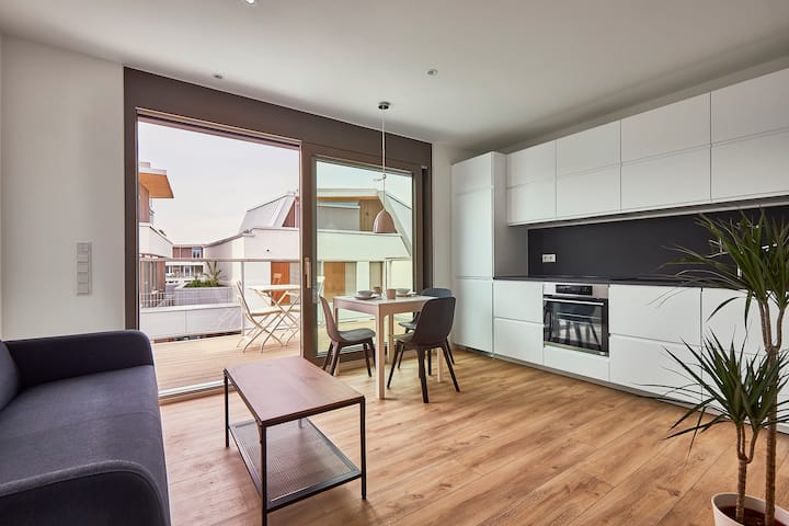 Apartment Mit Genialen Dachterrassen In Mannheim - Mannheim