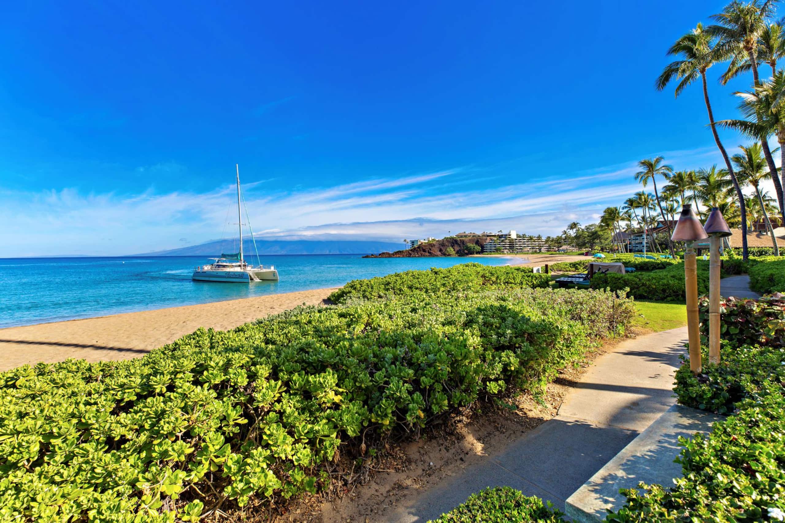 Condo in Lahaina · ★4.75 · 1 bedroom · 2 beds · 1 bath - Image 23