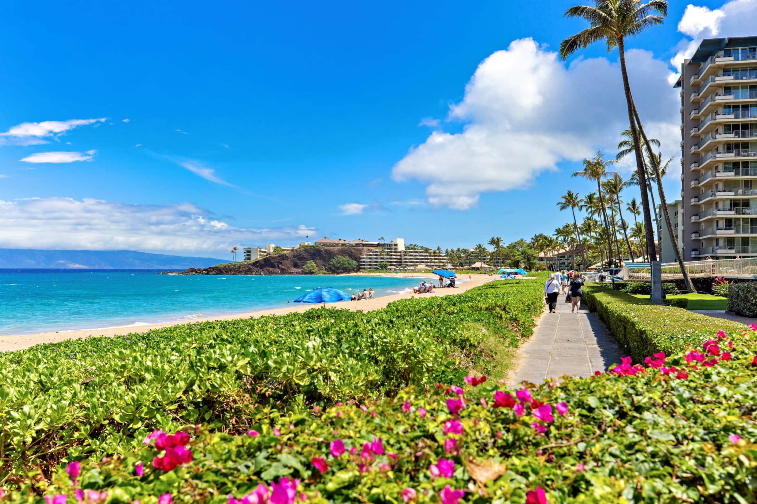 Condo in Lahaina · ★4.75 · 1 bedroom · 2 beds · 1 bath - Image 29