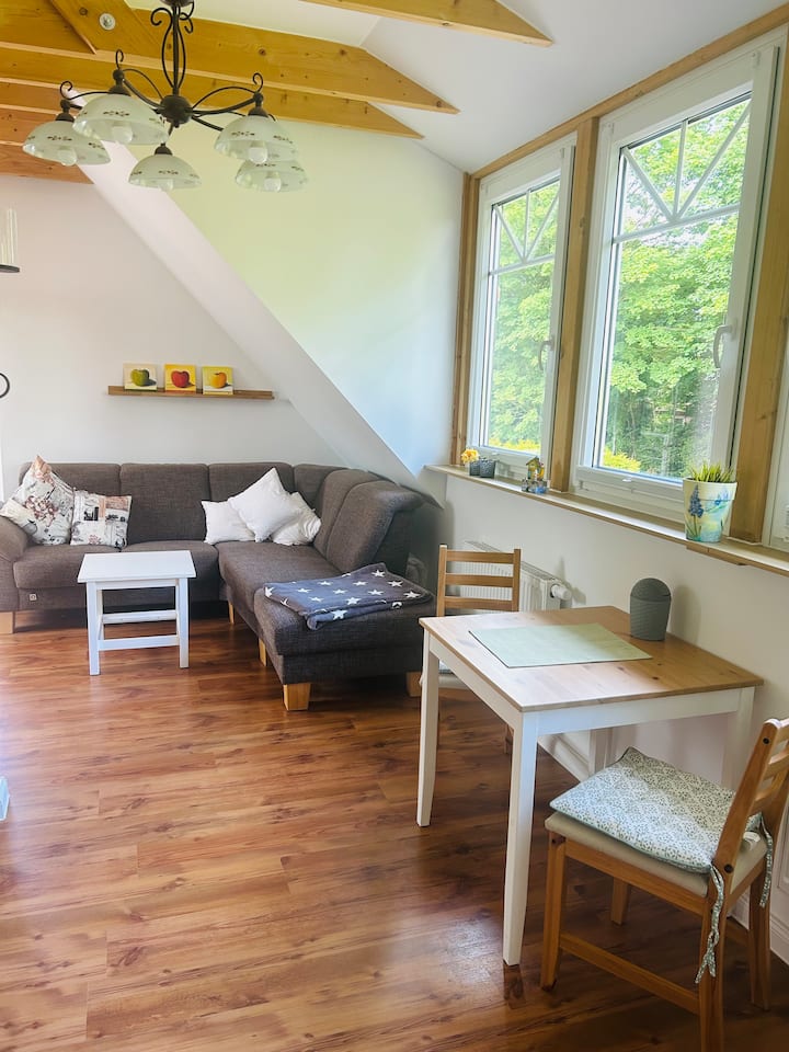 Gemütliche Landhauswohnung Mit Großer Dachterrasse - Saterland