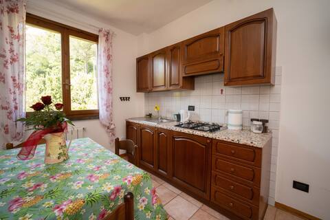 Proprietà Airbnb di successo: The Green House 5 a Montescudaio