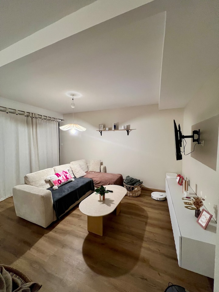 Appartement Cosy - Chantepie
