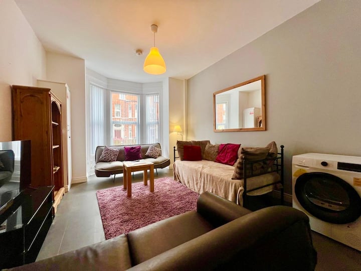 Stylish City Ground Floor Apartment Can Sleep 4 - Belfast