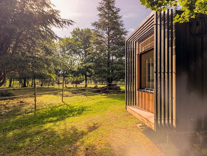 ※ Homnest ※ Clos De L'estuaire ※ Golfe De Gascogne - Talmont-sur-Gironde