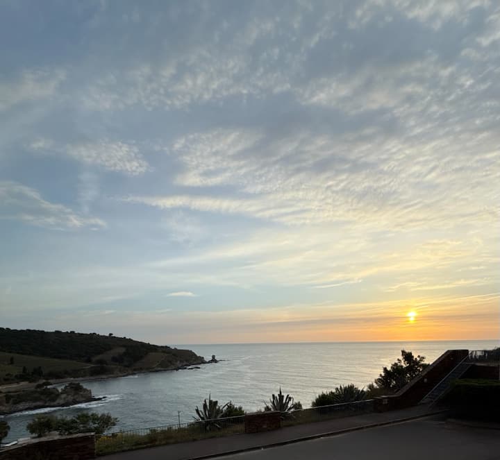 Studio Vue Mer Exceptionnelle à Banyuls-sur-mer - Banyuls-sur-Mer