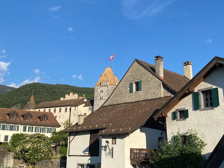 Studio Avec Vue Sur Le Château D'aigle - Aigle