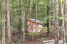 Secluded Luxury Glamping Cabin | 10 Acres in Woods