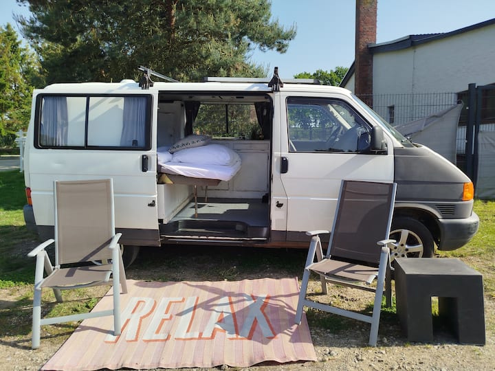 Vw Bulli Auf Tierschutzhof Im Grünen - Lubecca