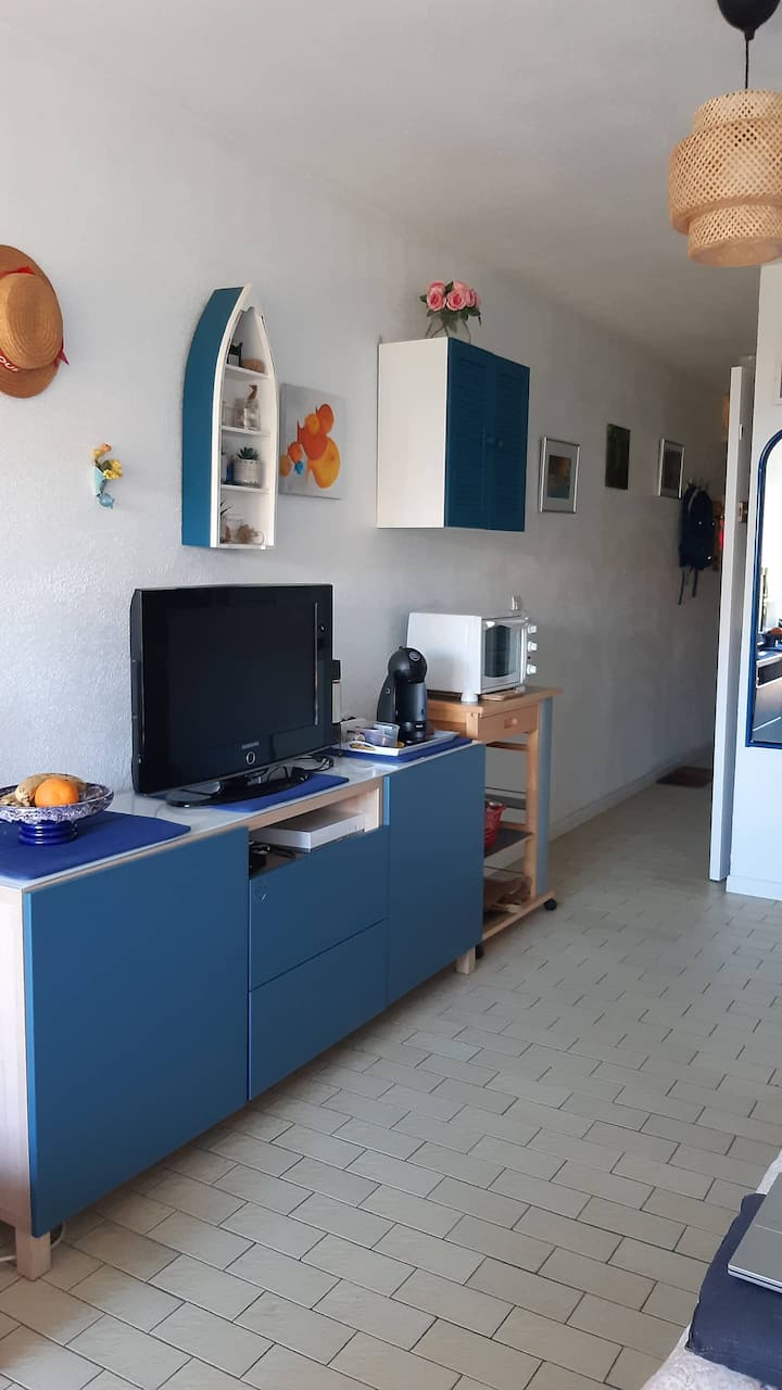 F2 Terrasse 50 M Plage De La Corniche
Parking Wifi - Sète