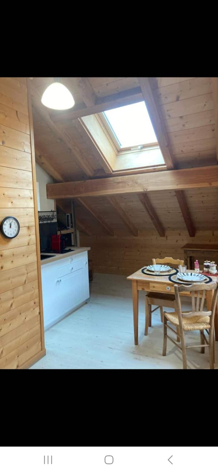 Appartement Les 2 Loups. - Samoëns