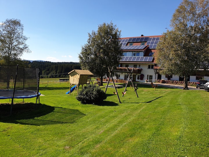 Fewo 2 "Neue" 55qm Für 2-3 Personen Mit Balkon - Schluchsee
