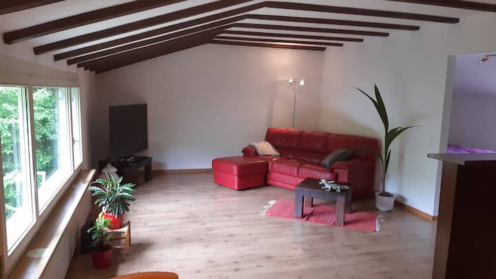 Einliegerwohnung Im Grünen,

Stadtnah, Idyllisch - Schaffhausen