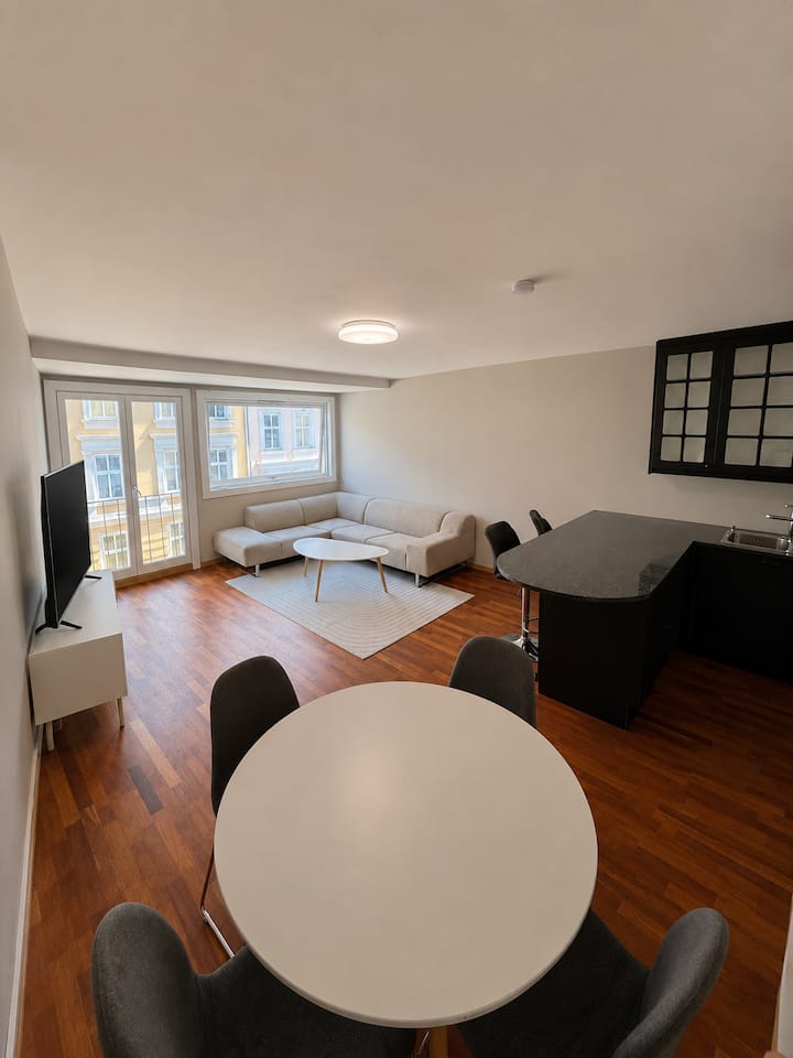 Rolig Og Sentral Leilighet Nær Sentrum - Oslo