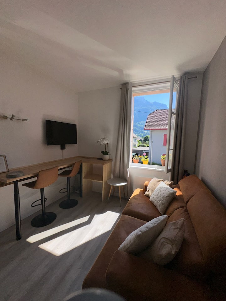 Appartement Cosy&calme-vuemontblanc- Gare à Pied - Sallanches