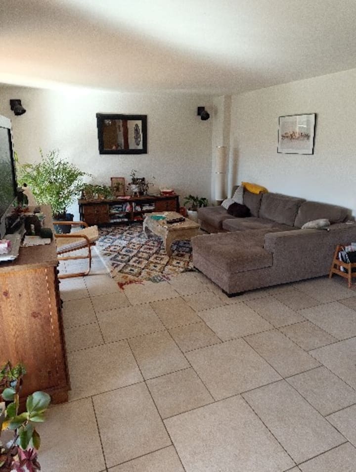 Maison Familiale En Ville - Montauban