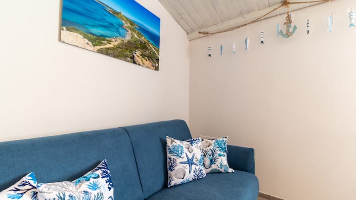 Mare Nostrum- Cabras - Solanas