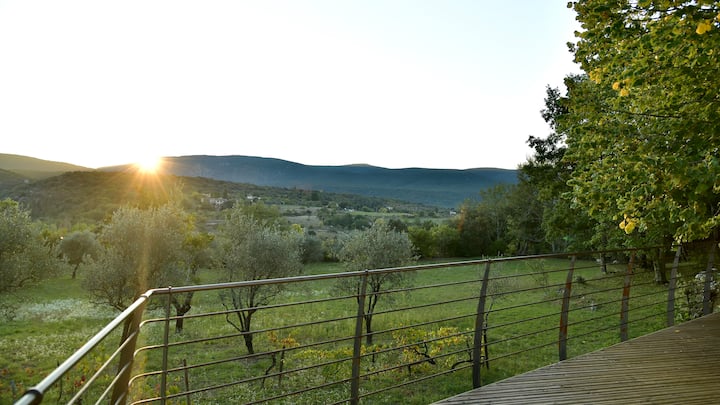 Petite Maison Proche Vallon Au Milieu Des Oliviers - Ruoms